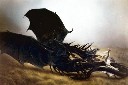 Avatar de morgul