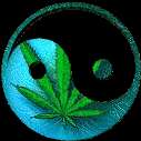 Avatar de aOU MASSAKA