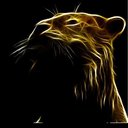 Avatar de Nourrou