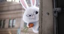 Avatar de Lapin-garou
