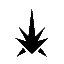 Avatar de Tyldrik