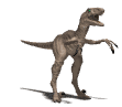 Avatar de raptors