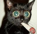 Avatar de Akadiem