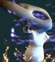 Avatar de Csi-Linerock