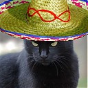 Avatar de Lazaris