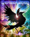 Avatar de elledar_blackraven