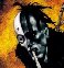 Avatar de Shaitan le fou