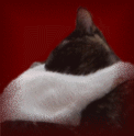 Avatar de Vole-Esprit