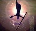 Avatar de GuiWald