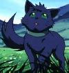 Avatar de Leki