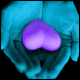 Avatar de madoudoune