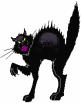 Avatar de Black Cat