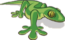 Avatar de Geko