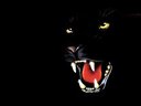 Avatar de Kelden