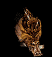 Avatar de Spek Le Fakochere