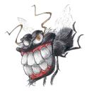 Avatar de bidibule le matinal
