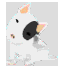 Odnight