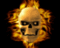 Joeyfr