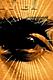 Sol Invictus
