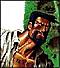 doc denfer