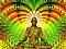 Ayahuasca .