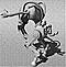 FaTaLiTy-