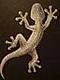 Lzard-Tisant