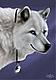 Wolf's Eyes