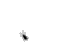 shermi44