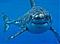 Shark Executor