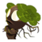 Sili