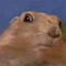 Dramatic Gopher