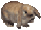 Tiboodchoo