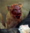 [Gou]Sered