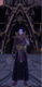 Vashanesh