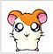 Avatar de Hamzouille