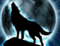 Wolfard