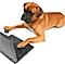 Pavlov