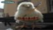 pousselion
