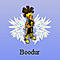 Boodur