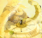 Pyrobolus [Kuri]