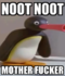 Gl4mshyr
