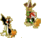 Phenia