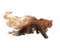 Noraj-Plz