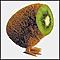 thekiwi007