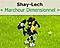 Shay-Lech