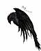 Griffh
