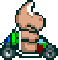 pavupaprise