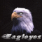 Eagleyes
