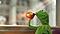 Kermit La Grenouille